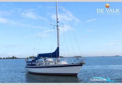 Hallberg Rassy 34 Sejlbåd 1994, med Volvo Penta  motor, Holland