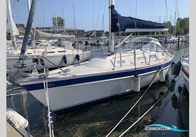 Hallberg-Rassy 34 Sejlbåd 2001, med Volvo-Penta motor, Tyskland