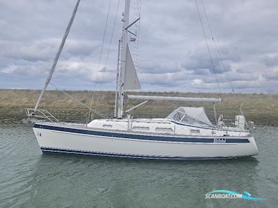 Hallberg Rassy 342 Sejlbåd 2014, Holland
