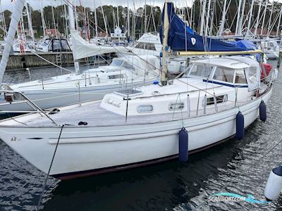 Hallberg Rassy 35 - Rasmus - 1976 - Mariager Sejlbåd 1976, med Volvo D2-55 (ilagt 2020) motor, Danmark