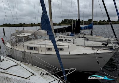 Hallberg-Rassy 35 Rasmus Sejlbåd 1974, med Volvo Penta MD21 motor, Danmark