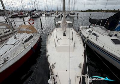 Hallberg-Rassy 35 Rasmus Sejlbåd 1974, med Volvo Penta MD21 motor, Danmark