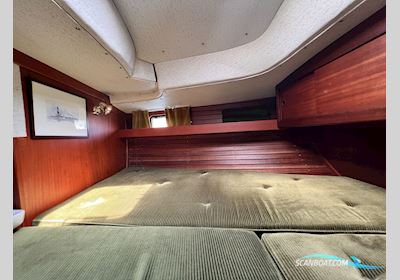 Hallberg Rassy 38 Sejlbåd 1981, med Volvo Penta D2-55 E motor, Danmark