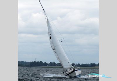Hallberg-Rassy HR 31 Scandinavia Sejlbåd 2001, med Volvo Penta motor, Tyskland