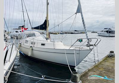 Hallberg-Rassy Monsun 31 Sejlbåd 1974, med Volvo Penta D1-30B motor, Danmark