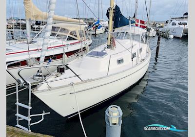 Hallberg-Rassy Monsun 31 Sejlbåd 1974, med Volvo Penta D1-30B motor, Danmark