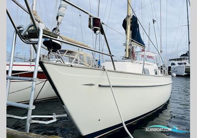 Hallberg-Rassy Monsun 31 Sejlbåd 1974, med Volvo Penta D1-30B motor, Danmark