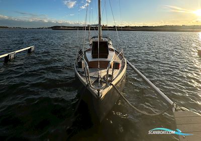 Hallberg-Rassy P 28 Sejlbåd 1974, med Yanmar 2GM20F motor, Polen