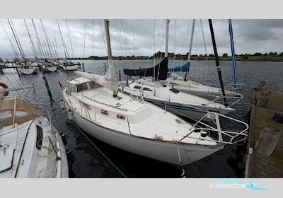 Hallberg-Rassy Rasmus 35 Sejlbåd 1974, Danmark
