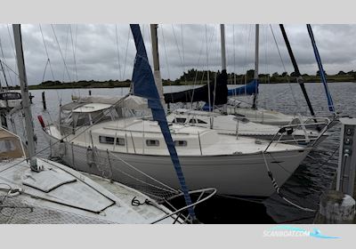 Hallberg-Rassy Rasmus 35 Sejlbåd 1974, Danmark
