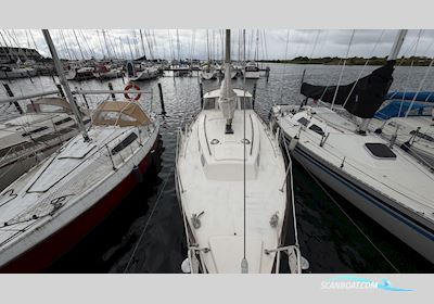 Hallberg-Rassy Rasmus 35 Sejlbåd 1974, Danmark
