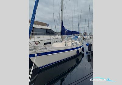 Hallberg-rassy 34 Sejlbåd 1993, med Volvo Penta motor, Tyskland