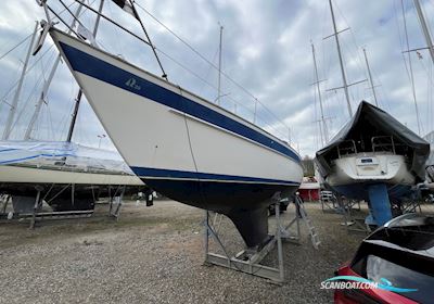 Hallerg Rassy 29 Sejlbåd 1985, med Volvo Penta MD2002 motor, Danmark