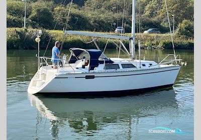 Hunter  30 Sejlbåd 1991, Holland