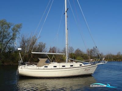 Island Packet 35 - 38 Sejlbåd 1990, med Yanmar motor, Holland