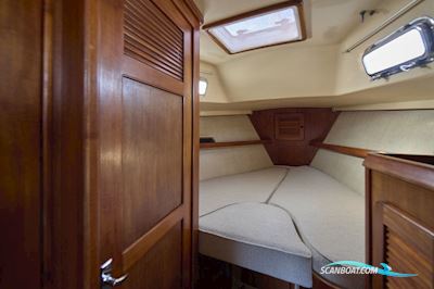 Island Packet 35 - 38 Sejlbåd 1990, med Yanmar motor, Holland