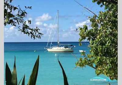 Island Packet 370 Sejlbåd 2011, med Yanmar motor, Virgin Islands