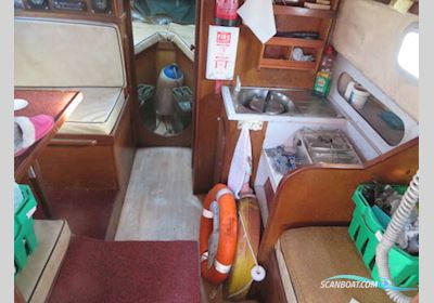 Island Plastics 24 Sejlbåd 1980, med Yanmar 2QM15 motor, England