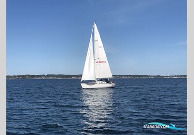 Jeanneau 39 Sejlbåd 1990, med Yanmar
 motor, Danmark