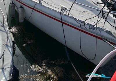 Jeanneau Aquila 28 Sejlbåd 1984, med Kubota 722D motor, Danmark