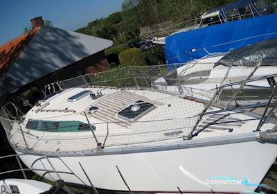 Jeanneau Rush 31 Fod Sejlbåd 1986, med Bukh  dv 20 motor, Danmark