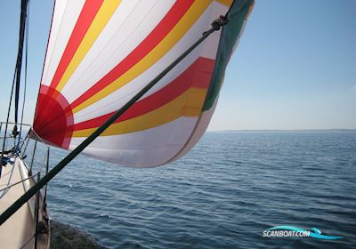Jeanneau Sun Shine Régate 39 Sejlbåd 1983, med Yanmar motor, Danmark