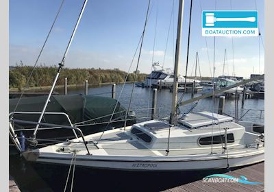Kievit 680 Sejlbåd 1971, med Mariner motor, Holland