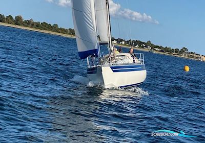 Kings Cruiser 33 Sejlbåd 1977, med Bukh dv20 motor, Danmark