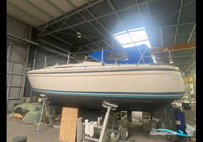 LM Mermaid 315 Sejlbåd 1984, med Buch DV 20 motor, Danmark