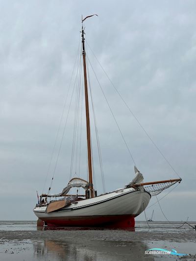 Lemsteraak Roefmodel - Walrus 1600 Sejlbåd 2002, med Steyr motor, Holland