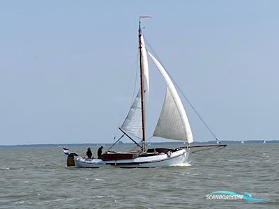 Lemsteraak Roefmodel 1010 - Dolfijn Sejlbåd 1990, med Lister Petter motor, Holland