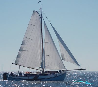 Lemsteraak Roefmodel 1010 - Dolfijn Sejlbåd 1990, med Lister Petter motor, Holland