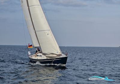 Luffe 37 Sejlbåd 1984, med Volvo Penta motor, Tyskland