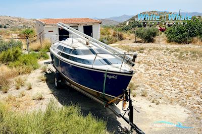Macgregor 26M Sejlbåd 2012, med Evinrude motor, Spanien