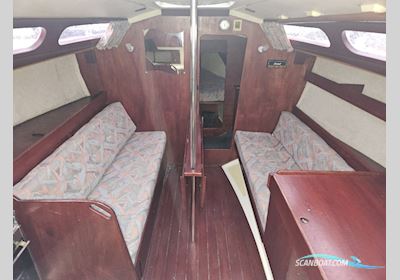 Mallard  9M Sejlbåd 1981, Holland