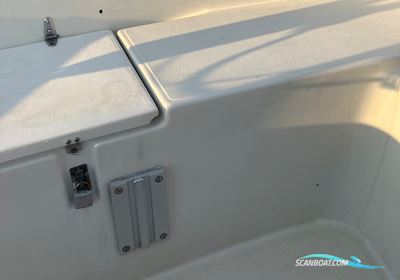 Maxi Fenix Dinette Sejlbåd 1983, med Volvo Penta D1-13 motor, Danmark