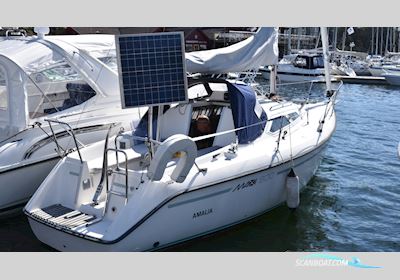 Maxi Yachts 800 Sejlbåd 1993, Sverige