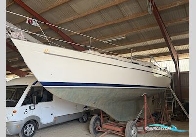 Monsun 31 Sejlbåd 1978, med Volvo Penta  motor, Danmark