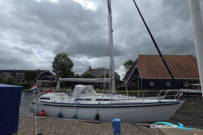 Moody 34 Sejlbåd 1986, med Thornycroft motor, Holland