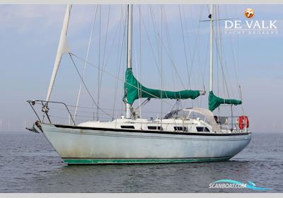 Nicholson 39 Sejlbåd 1979, med Perkins motor, Holland