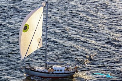 Noordkaper 43 Sejlbåd 2016, med Volkswagen Marine motor, Holland