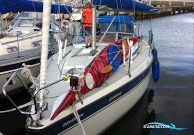Nordship 28 Sejlbåd 1986, med Volvo Penta motor, Danmark
