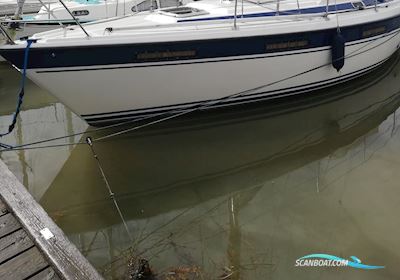 Nordship 32 Sejlbåd 1986, med Volvo Penta D1-20 motor, Danmark