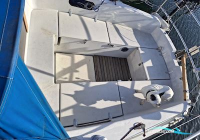 OE24 Olle Enderlein Sejlbåd 1981, med Yanmar YSB12 motor, Danmark