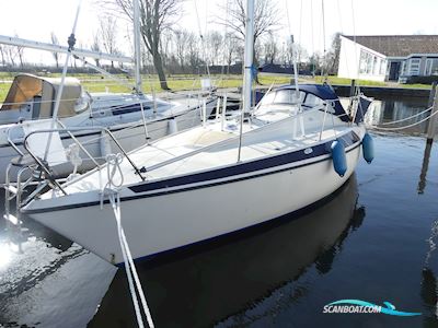 Pettersson Maxi 84 Sejlbåd 1981, med Volvo Penta motor, Holland