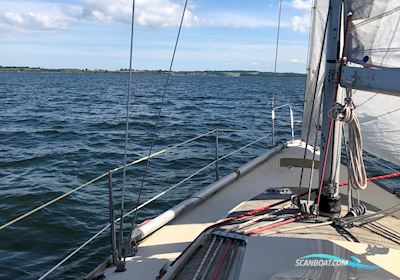 Scankap 99 Sejlbåd 1981, med Yanmar motor, Danmark