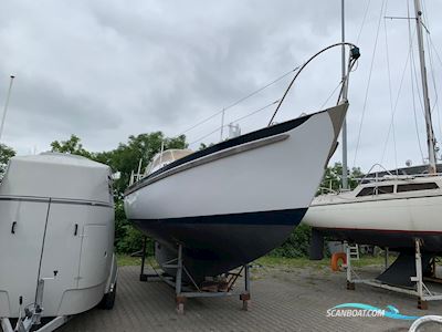 Seadog 30 Sejlbåd 1973, med Yanmar motor, Holland