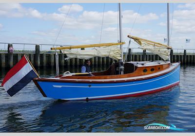 Sharpie Sharp-End 900 Custom Classic Sejlbåd 2008, med Bukh motor, Holland