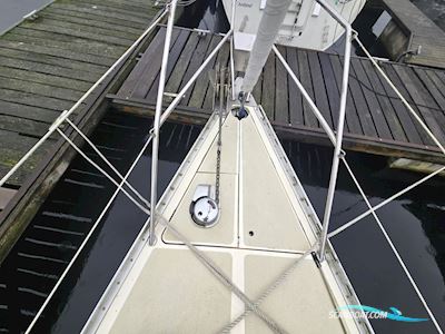 Sirena 38 Sejlbåd 1984, med Bukh motor, Holland