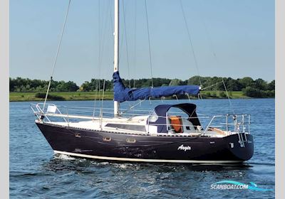 Spear 30 Sejlbåd 1981, Holland